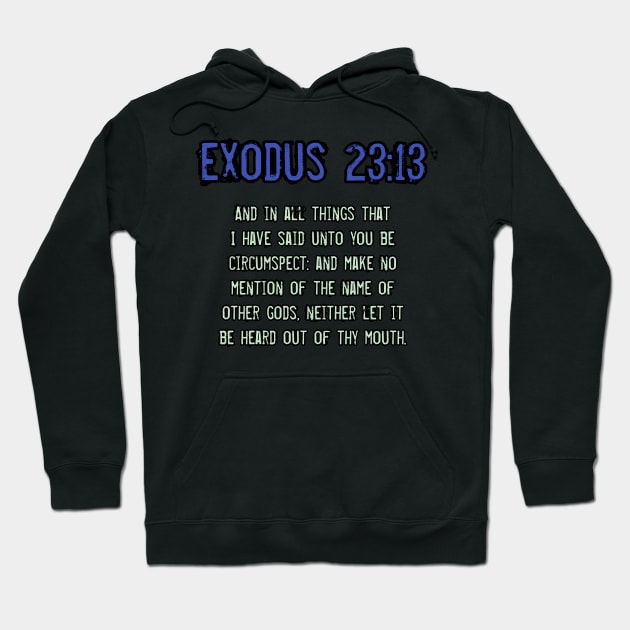 Exodus 23:13 Hoodie by Yachaad Yasharahla